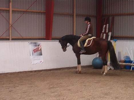 Holstener Lady Love(Tidligere part) - Lady kigger på benzin reklame for OK billede 12