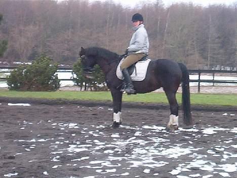 Anden særlig race Menta (tidligere part) billede 14