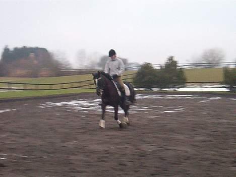 Anden særlig race Menta (tidligere part) billede 15