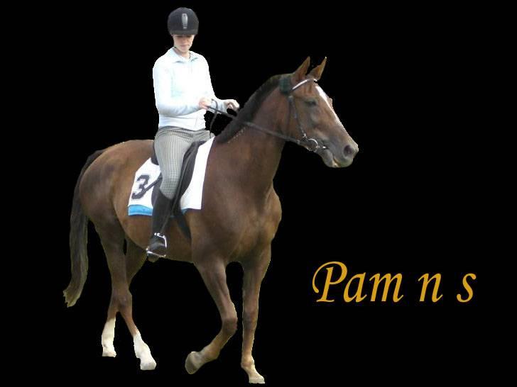 Traver Pam n s  •RIP• - Pandrup galopløb billede 2
