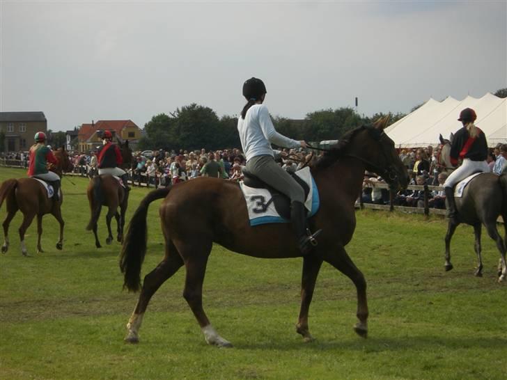 Traver Pam n s  •RIP• - pandrup galopløb billede 4