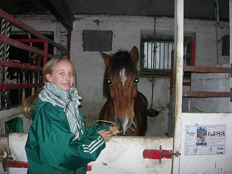 Anden særlig race Baloo  - hmm billede 15