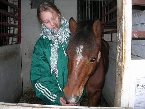 Anden særlig race Baloo  - JEG ELSKER DIG!!! billede 19