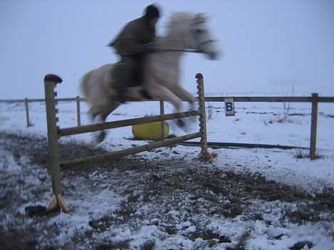Sportsaraber (A) Zik Zak - Spøgelseshesten flyver igennem et spring på 90cm...:P   (2/1-06) billede 17