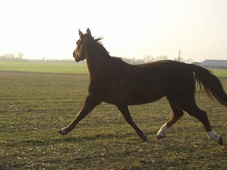 Traver Pam n s  •RIP• - *NYT* 14/1 - DAMN tøs mega gode ben bevægelser eller hva ? ÖÖÖ billede 6
