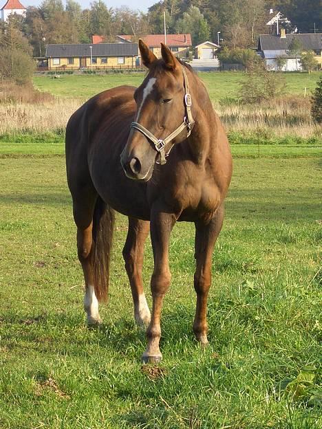 Traver Pam n s  •RIP• - *NYT* 14/1 - Uhm,, og der skal spises ! billede 7