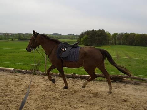 Traver Pam n s  •RIP• - *NYT* 14/1 - hmm.. kan dit kamera spises? billede 8