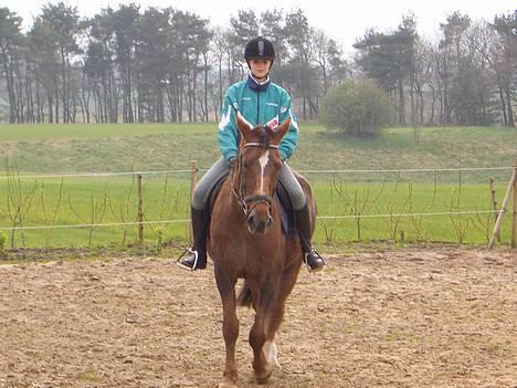 Traver Pam n s  •RIP• - det var helt underligt at ride hende :) Tag jer ikke af hun mangler pels hun har lige været syg! billede 9