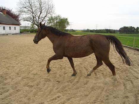 Traver Pam n s  •RIP• - *NYT* 14/1 - WEEEEE billede 10