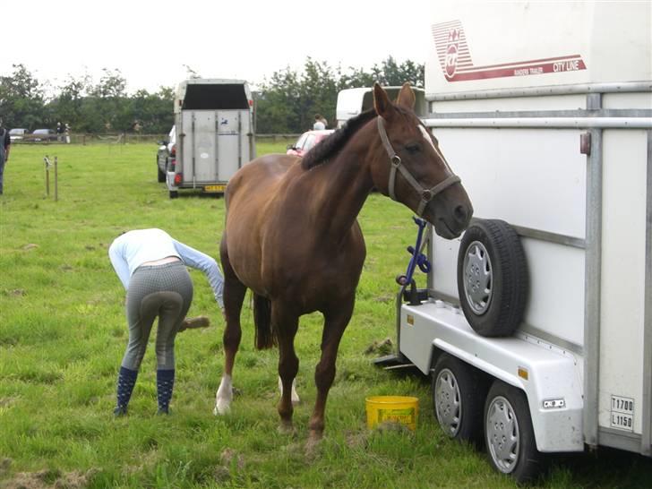 Traver Pam n s  •RIP• - pandrup galopløb billede 11