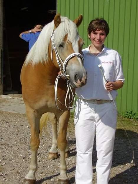 Haflinger Rosa (Død) - Til kåring i HAD september 2005 billede 4