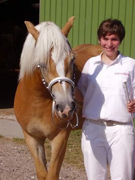 Haflinger Rosa (Død) - Til kåring i HAD september 2005 billede 5