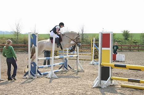 Fjordhest Glibings Fylla - Foto: Lena Trab klubstævne 2006 hylke billede 15