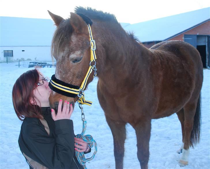 Anden særlig race »Freja <3 « † Sov sødt † - Freja & mig, nytårsaftensdag 2009 :o) Den pony betyder mere for mig, end jeg nogensinde vil kunne beskrive her! At gå ind i det nye år (2010) med hende ved min side, var det bedste! <3 Jeg elsker dig, Freja <3 billede 13