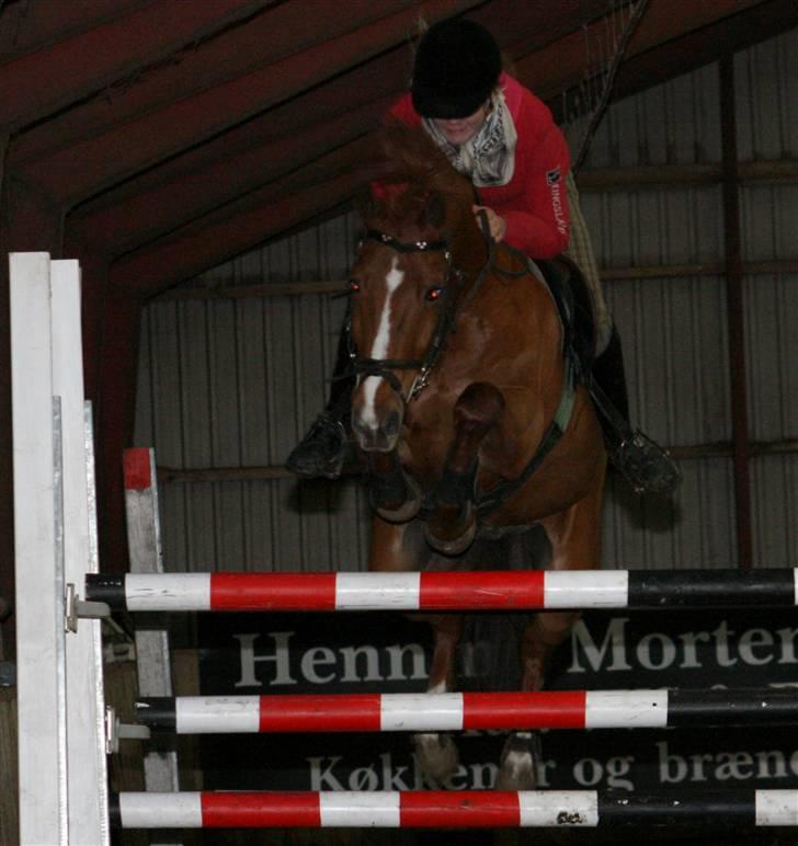 DSP Zanick - Solgt. - Sponser springning, 135 tribbel. Foto: Michala Bisballe. billede 5