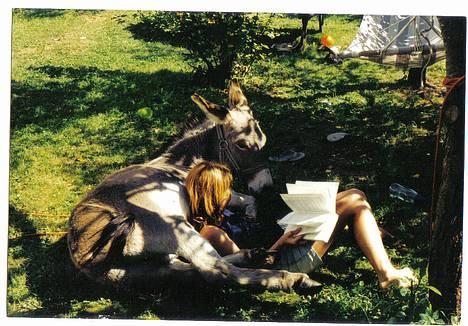 Anden særlig race Smedehusets Mathias - Her ligger jeg og læser Harry Potter med Mathias, i skyggen af vores blommetræ i haven.. billede 7