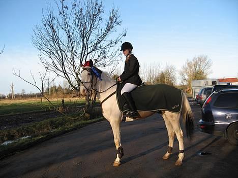 Pinto S. P. Miss Dixie**SOLGT** - Til stævne i Bredebro LD: 4 fejl 1. uplaceret (ingen var fejlfri) LC: 2. plads 4. fejl (en fejlfri) billede 9