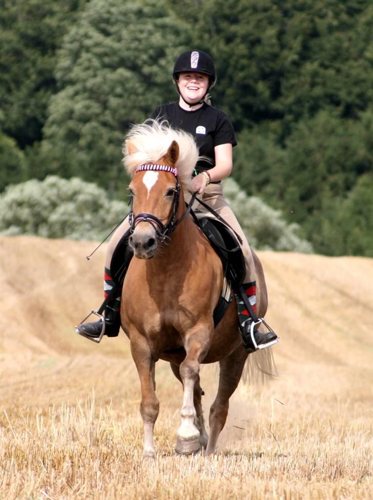 Haflinger Gravenshoveds Omira - FUTFUUUT! Her kommer bumletoget! :D billede 15