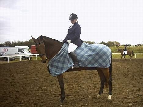Dansk Varmblod Fabienne Foldager RDH  - Mig og Fabienne til stævne i Give billede 3