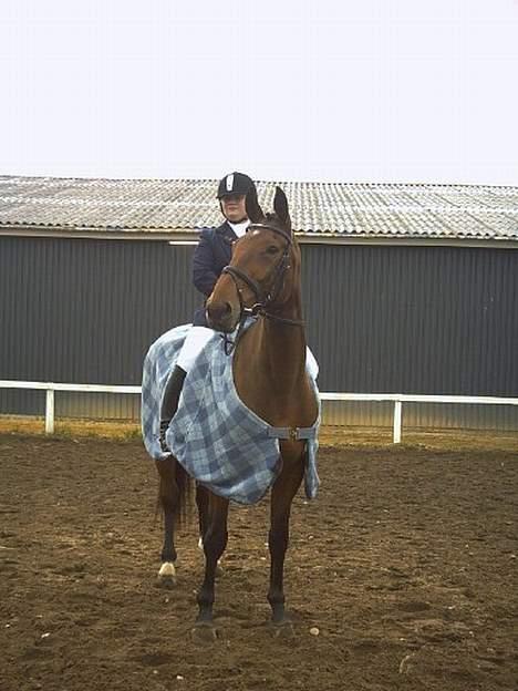 Dansk Varmblod Fabienne Foldager RDH  - Mig og Fabienne igen billede 4