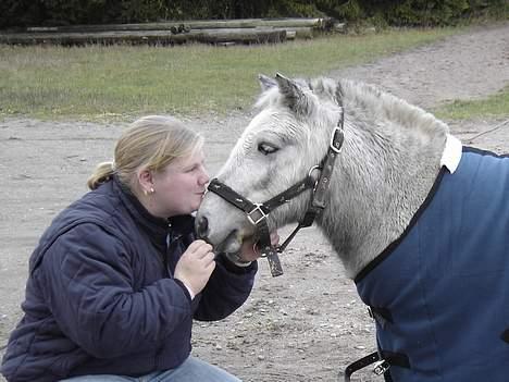 Shetlænder Højvangs Lille Claus - Mig og Lille Claus i nov billede 1