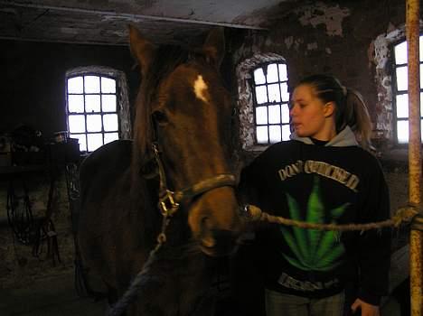 Pinto Gantrup Lisa  billede 2