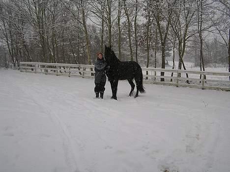 Frieser Oliver fra friesenborg - vinterbilled 2006 billede 9