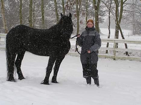 Frieser Oliver fra friesenborg - vinterbilled 2006 billede 10