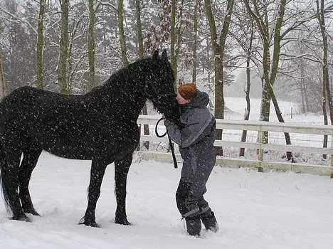 Frieser Oliver fra friesenborg - vinterbilled 2006 billede 11