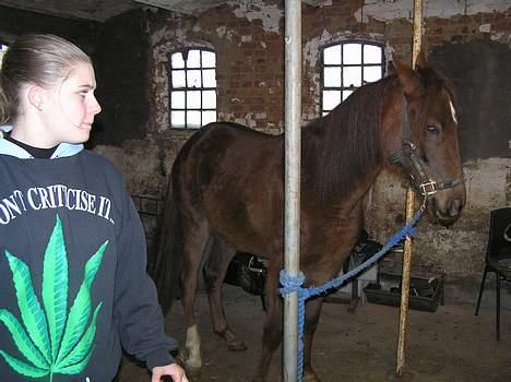 Pinto Gantrup Lisa  - NEJ vil ikke !!!   færdig basta! billede 4