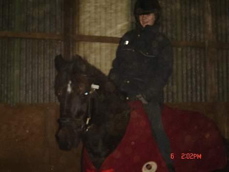 Anden særlig race Django<3 gammel pony ;/  - Mig på min lille hypper..<333 billede 4