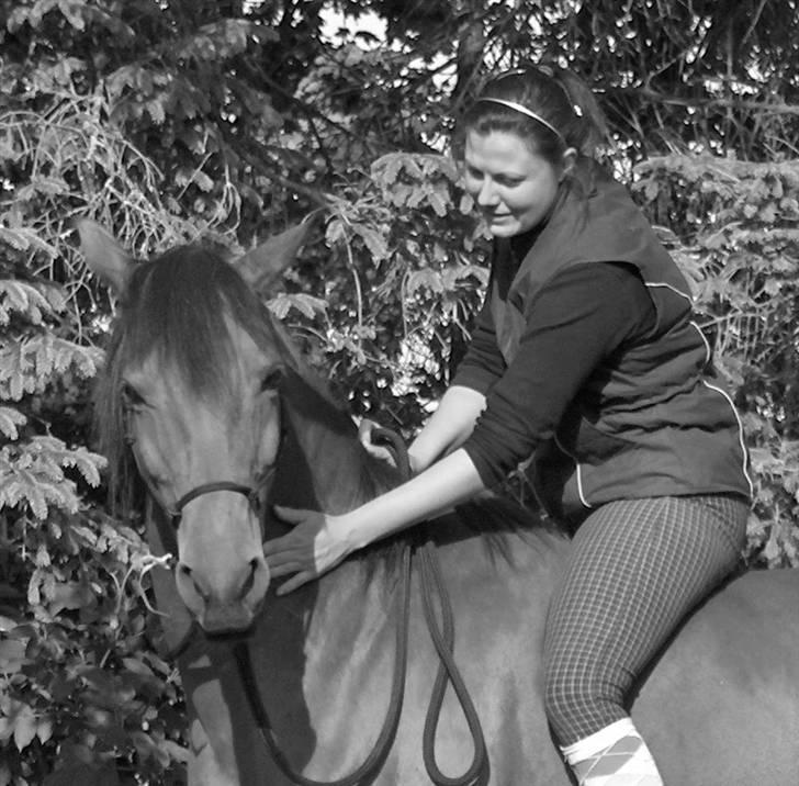 Sportsaraber (A) Paw billede 4