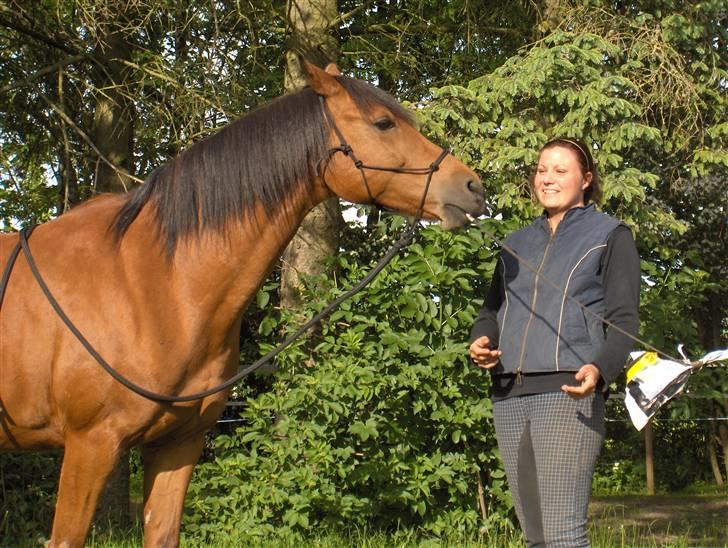 Sportsaraber (A) Paw - Så er det vist min tur til at arbejde... billede 5