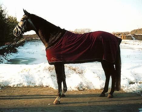 Sportsaraber (A) Snehvide - Snehvide januar 06. billede 15