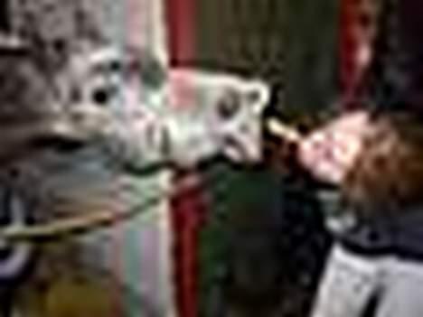 Arabisk fuldblod (OX) T.A. Madir  - Karen og Madir inden stævne.. :) billede 4