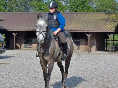 Arabisk fuldblod (OX) T.A. Madir  - Madir og jeg på vej til springundervisning ved Hans Jørgen Hoeck.. :) billede 6