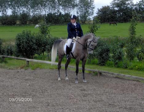 Arabisk fuldblod (OX) T.A. Madir  - Karen og Madir hjemme.. :) billede 9