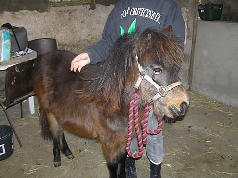 Anden særlig race Surprise - okay så ! :-/ billede 5