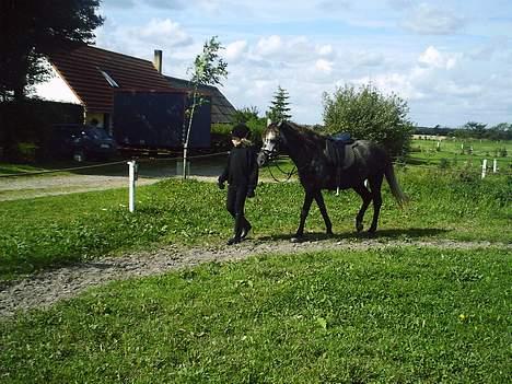 Anden særlig race Tulle - Første møde.. :D billede 2