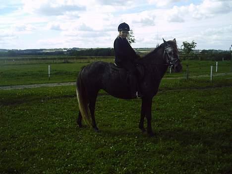 Anden særlig race Tulle - Første ridetur.. :D billede 3
