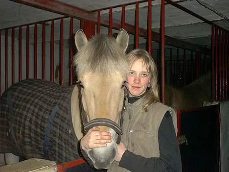 Fjordhest Claudia :) - Min lille smukke hest :) <3 (Meen, ser selv lidt skæg ud .! hehe ) billede 1