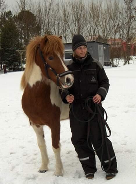 Islænder Skjalda fra Bakholm - Skjalda og jeg billede 9