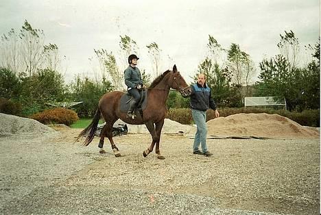 Traver Pam n s  •RIP• - Da jeg begyndte at ride Pam da jeg var 11 år =) sjovt billede 12