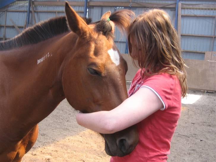 Traver Danielle *Solgt* - Kælepotte :´) billede 1