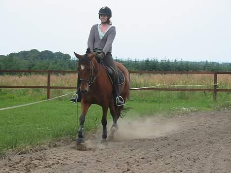 Traver Danielle *Solgt* - Gaaammelt billede fra min gamle gård :) billede 2