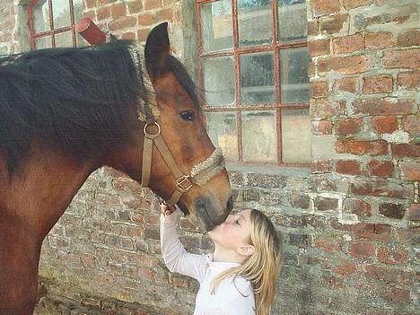 New Forest Fanny || Gammel part :( - *muzzzz* lille muzzzz til mig .. <3 billede 5