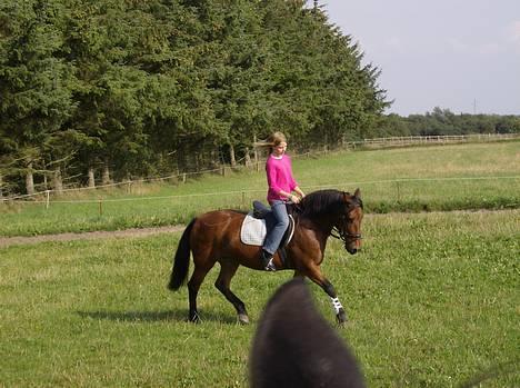 New Forest Fanny || Gammel part :( - ridder bare lidt .. <3 billede 6