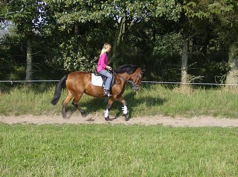 New Forest Fanny || Gammel part :( - ridder lidt mer .. <3 billede 7