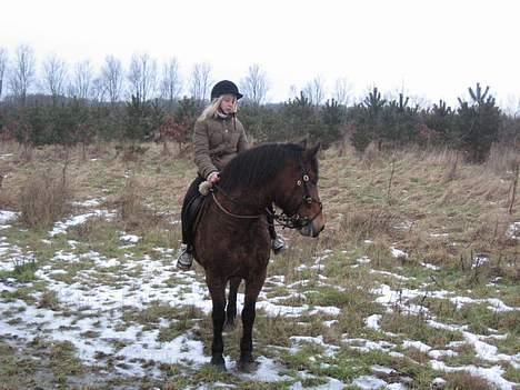 New Forest Fanny || Gammel part :( - hvad kigger du på baby ? .. <3 billede 9