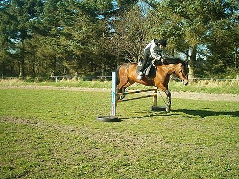 New Forest Fanny || Gammel part :( - Hopper ! .. <3 billede 11